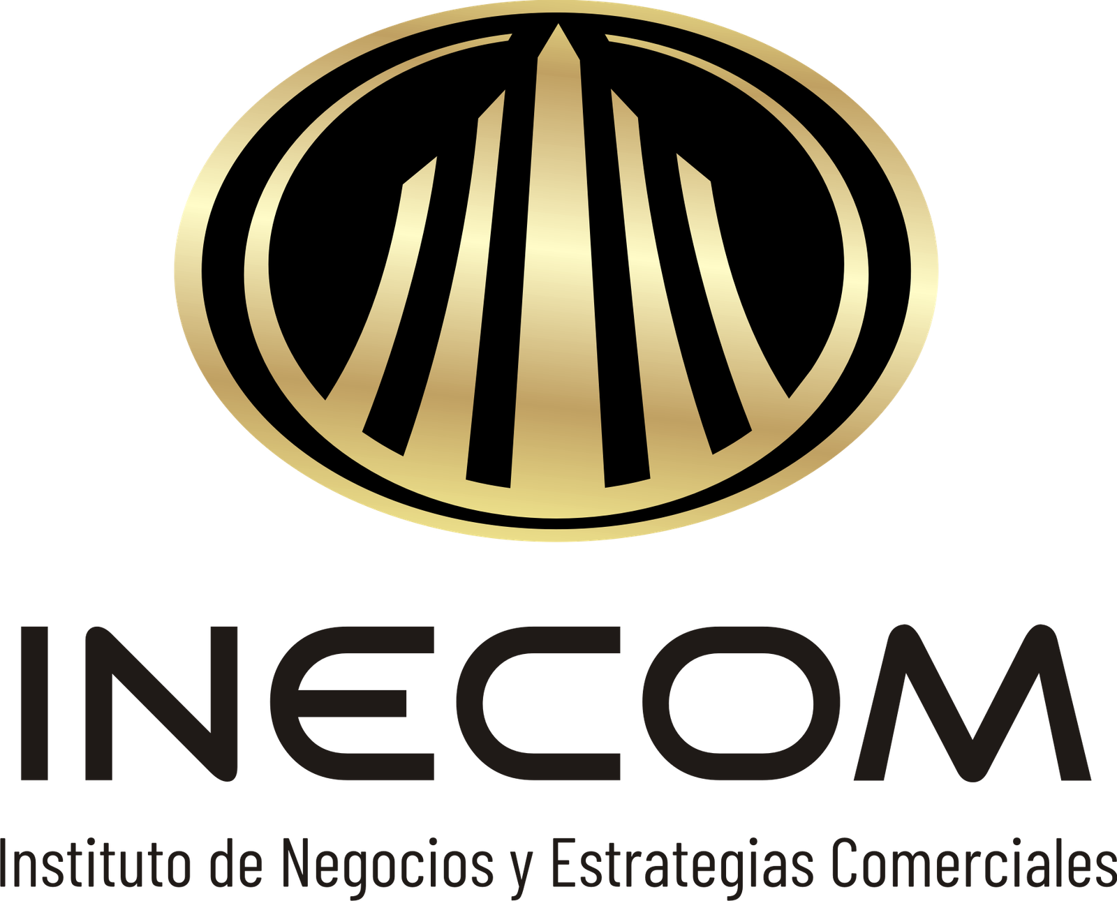 inecom.mx